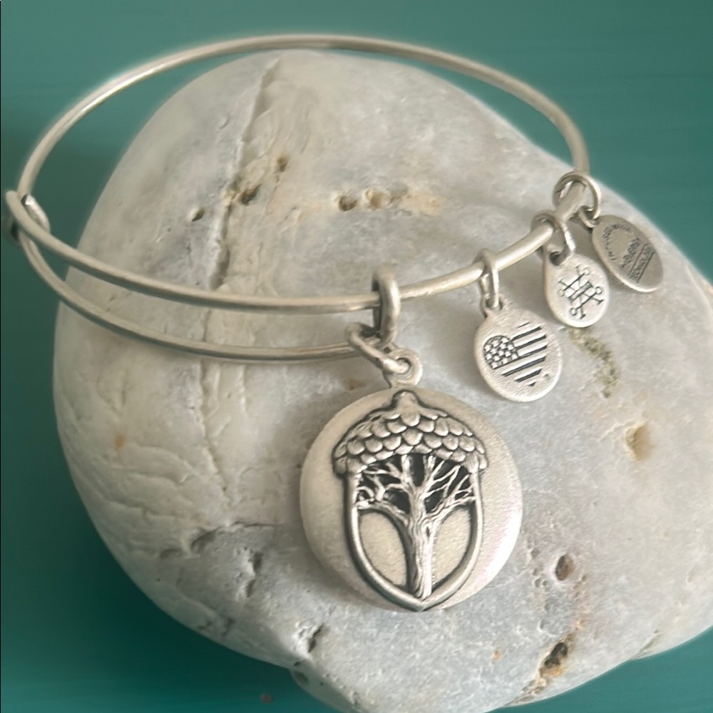 Alex and Ani Silver Unexpected Miracles Charm Bangle Adjustable Bracelet
